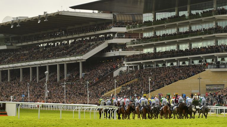 Las multitudes han acudido a Cheltenham esta semana.