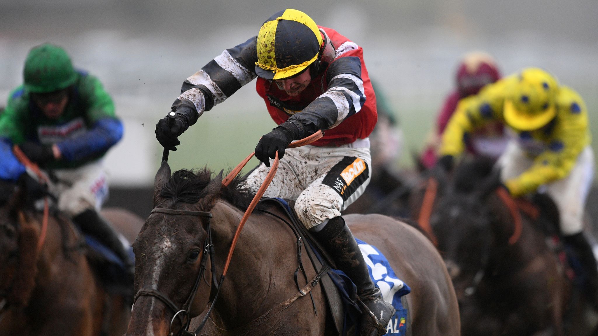 Potters Corner wins Virtual Grand National Racing News Sky Sports