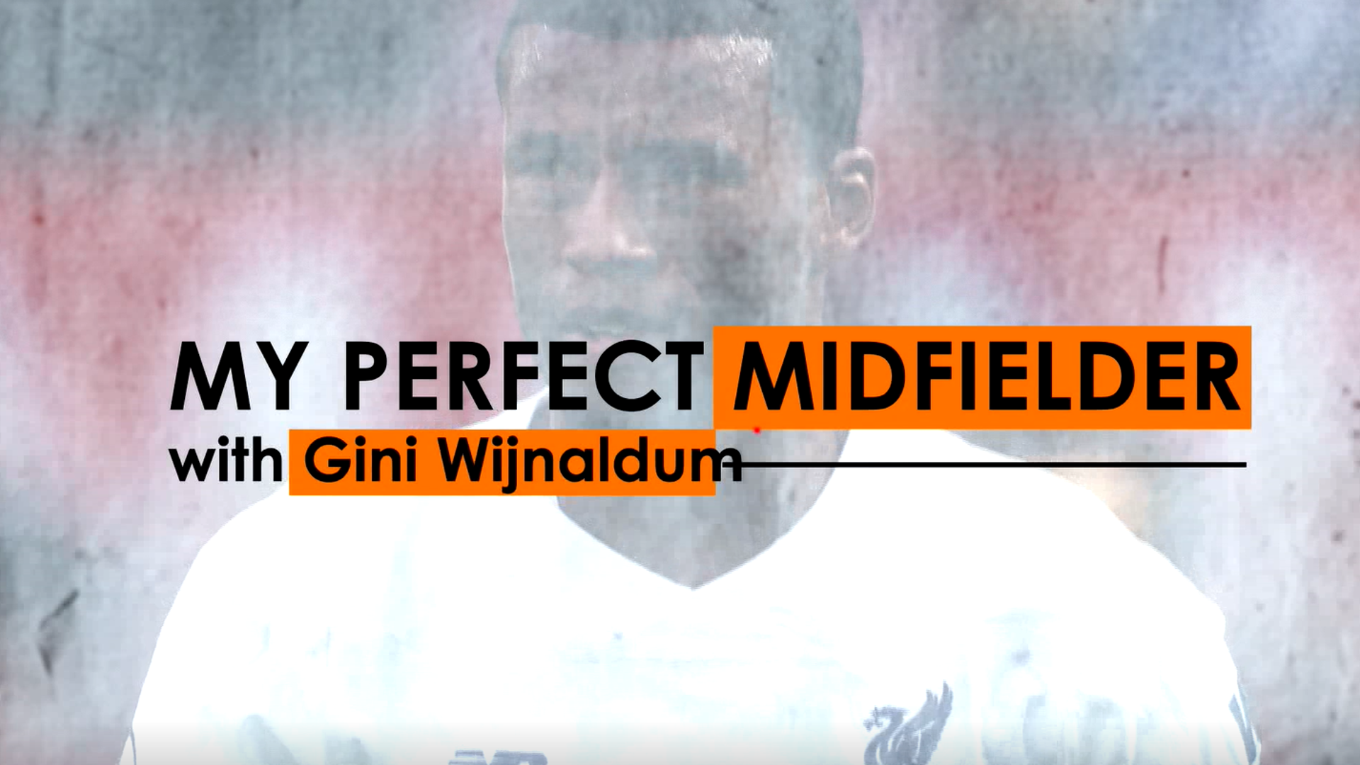 Wijnaldum: My perfect midfielder