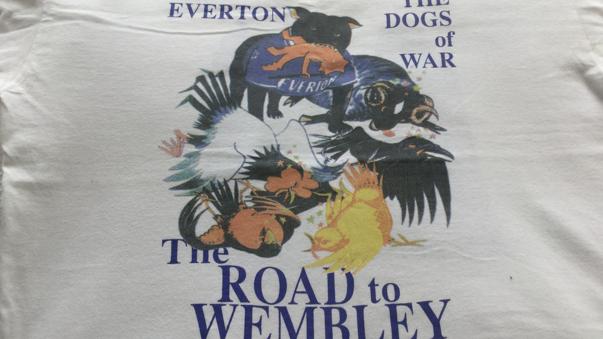Everton's Dogs of War relived: 25 years on from 1995 FA Cup final win ...
