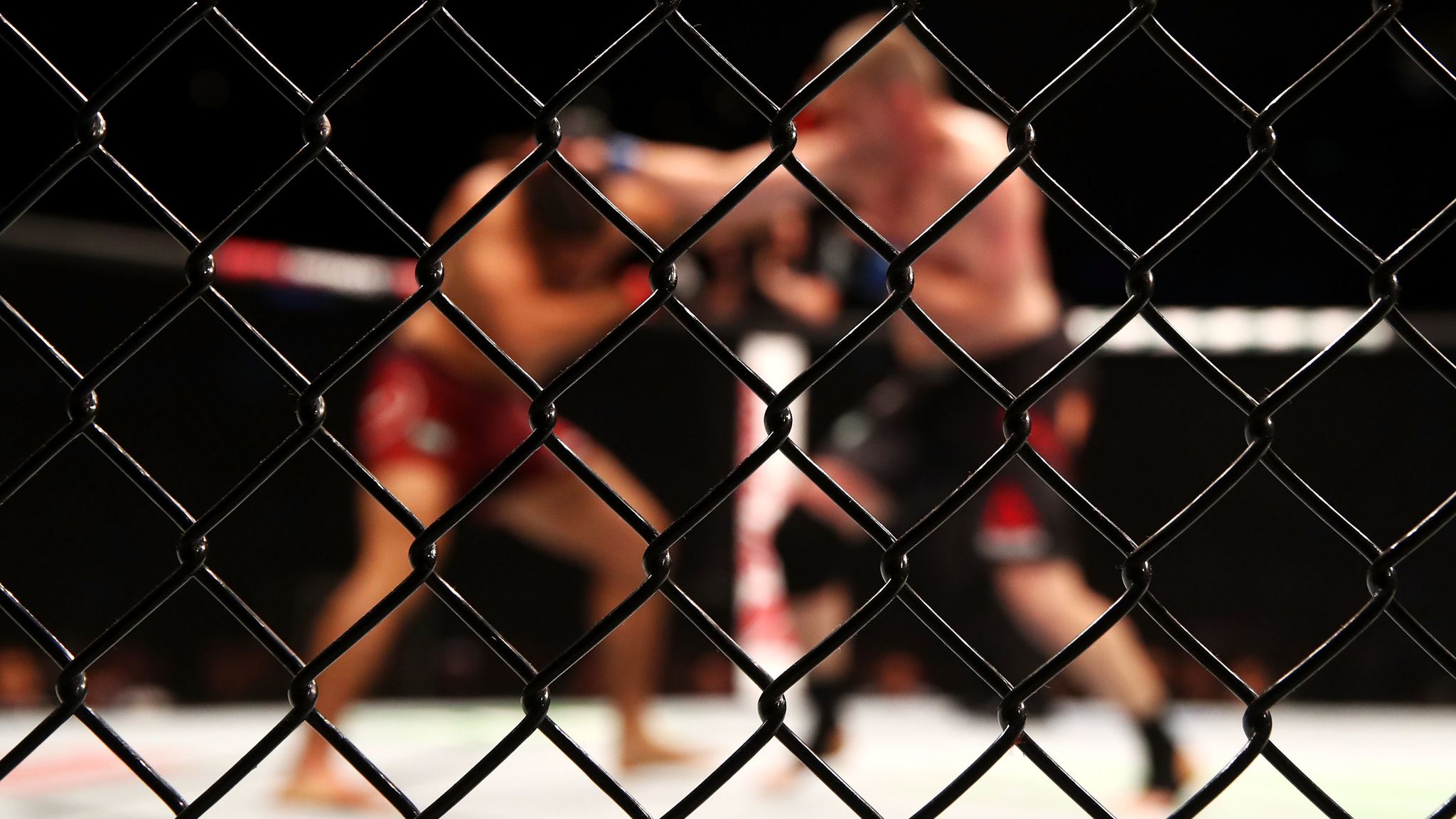 ufc cage fence