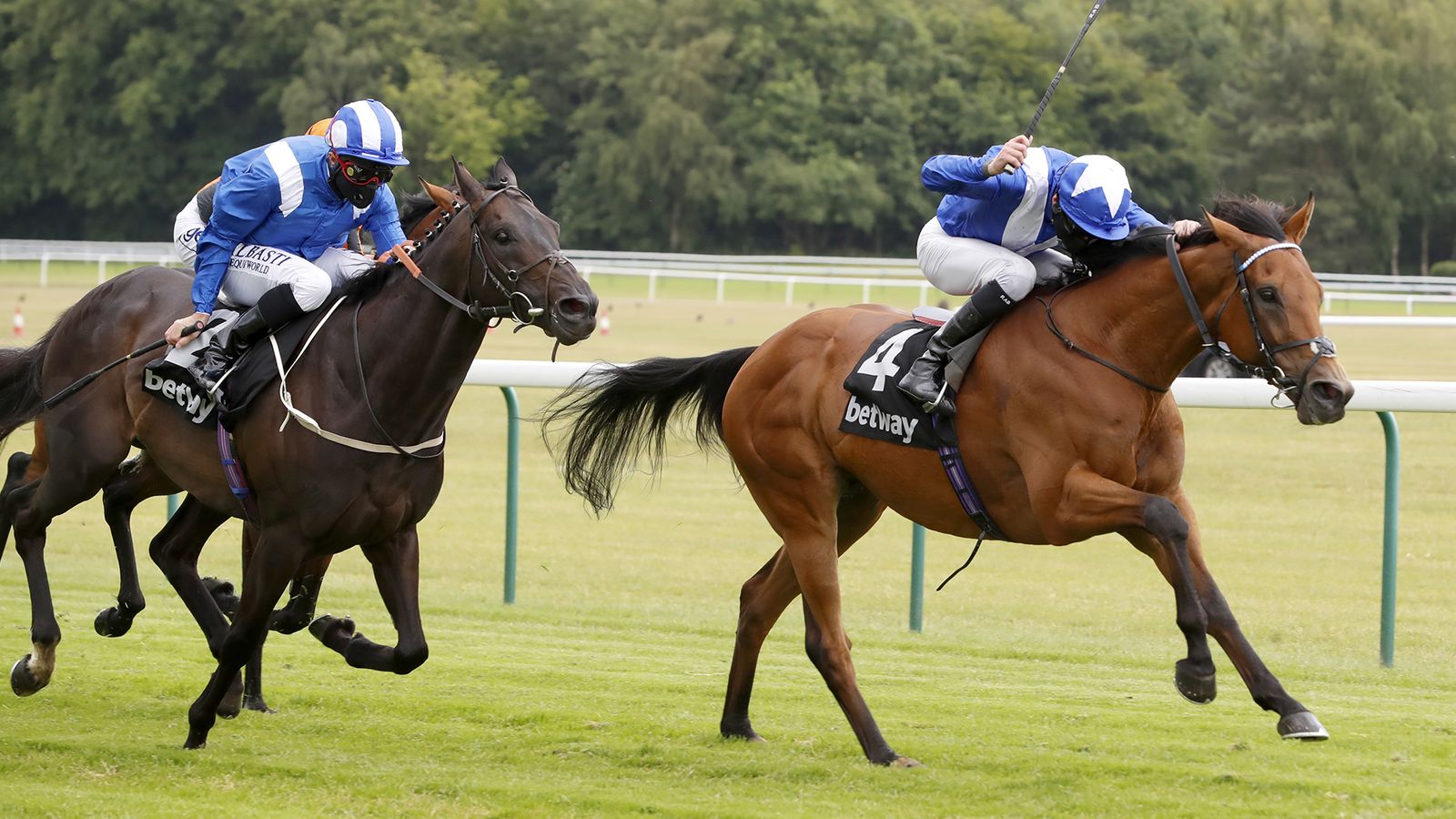Lord North wins Brigadier Gerard Stakes at Haydock | Racing News | Sky ...