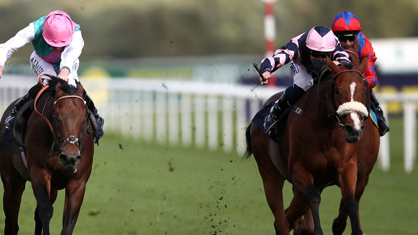 Monday Tips Racing News Sky Sports