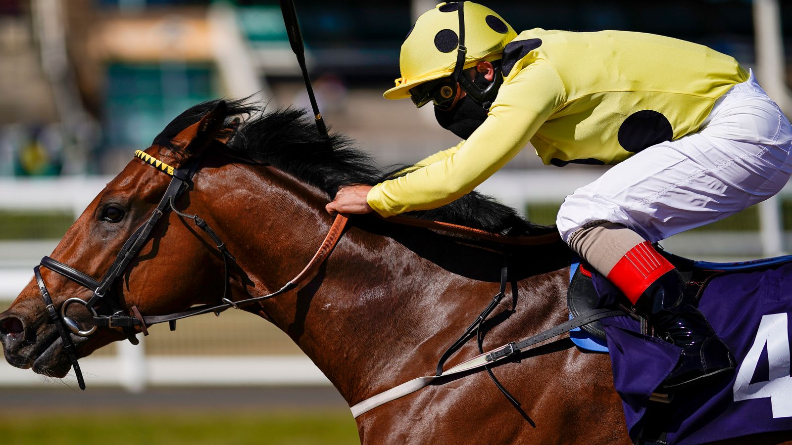 Professional sport returned to Britain with a 10race card at Newcastle