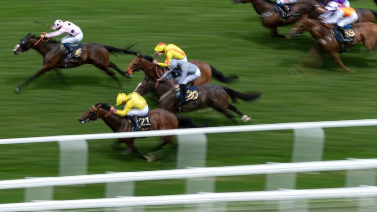 Chiefofchiefs swoops to win the Silver Wokingham