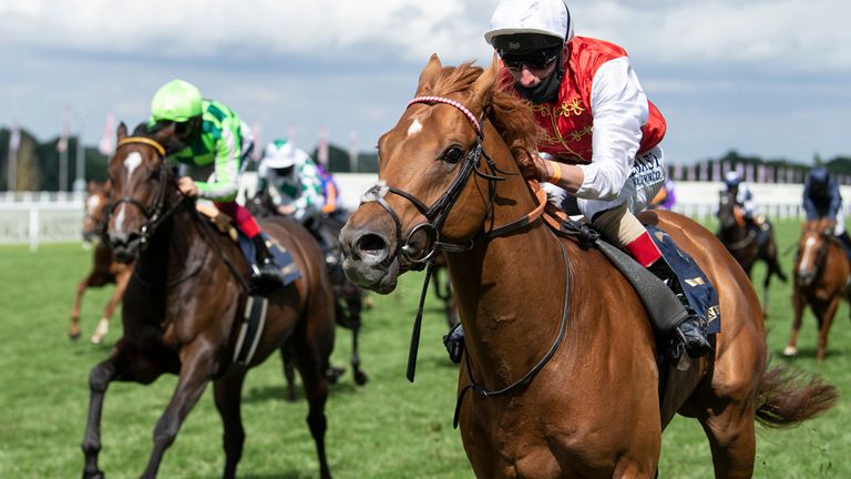 Golden Horde is on top in the Commonwealth cup