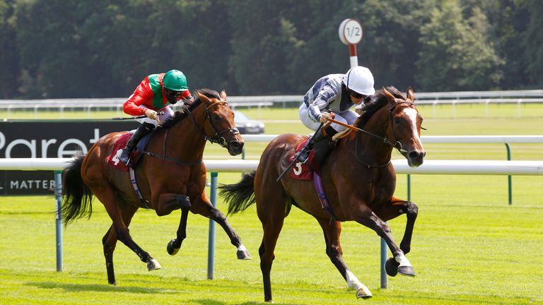 Highest Ground gallops to victory at Haydock