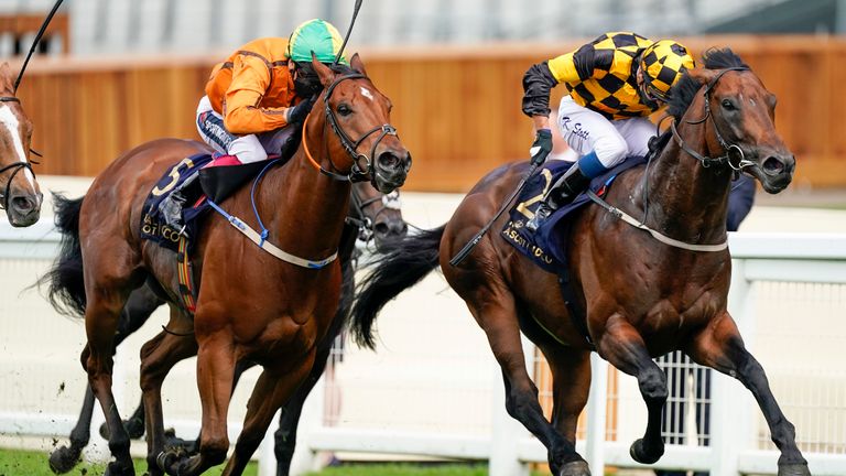 Hello Youmzain (right) wins a thriller