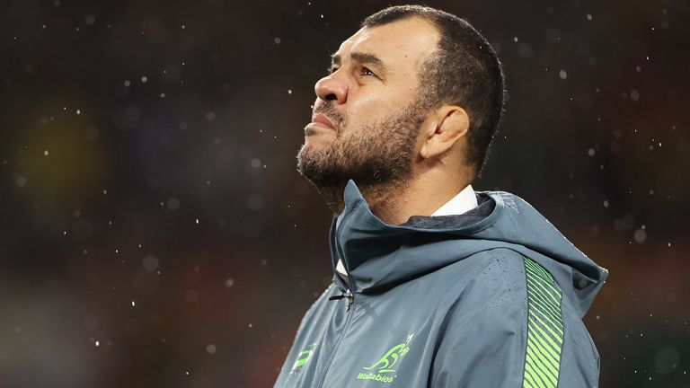 Former Wallabies coach Michael Cheika