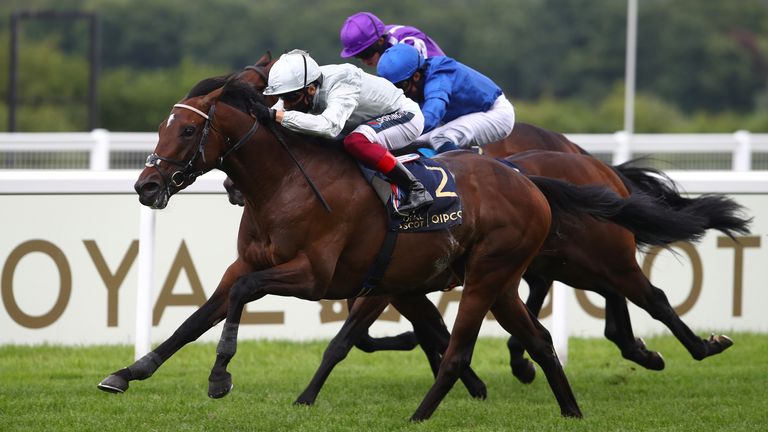 Palace Pier wins the St James's Palace Stakes at Royal Ascot