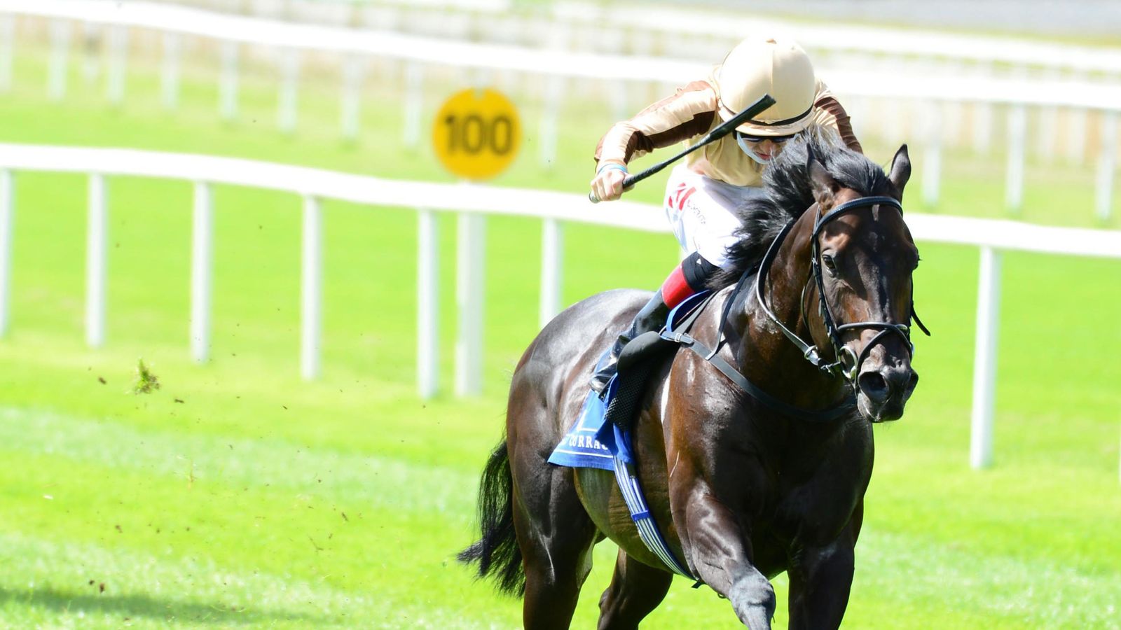 A'Ali team targeting further Curragh success | Racing News | Sky Sports