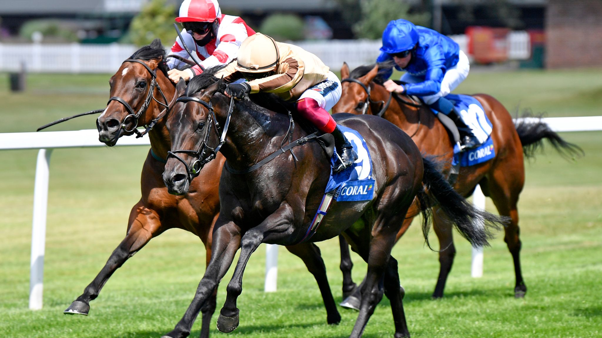 A'Ali heading to Sapphire Stakes next | Racing News | Sky Sports