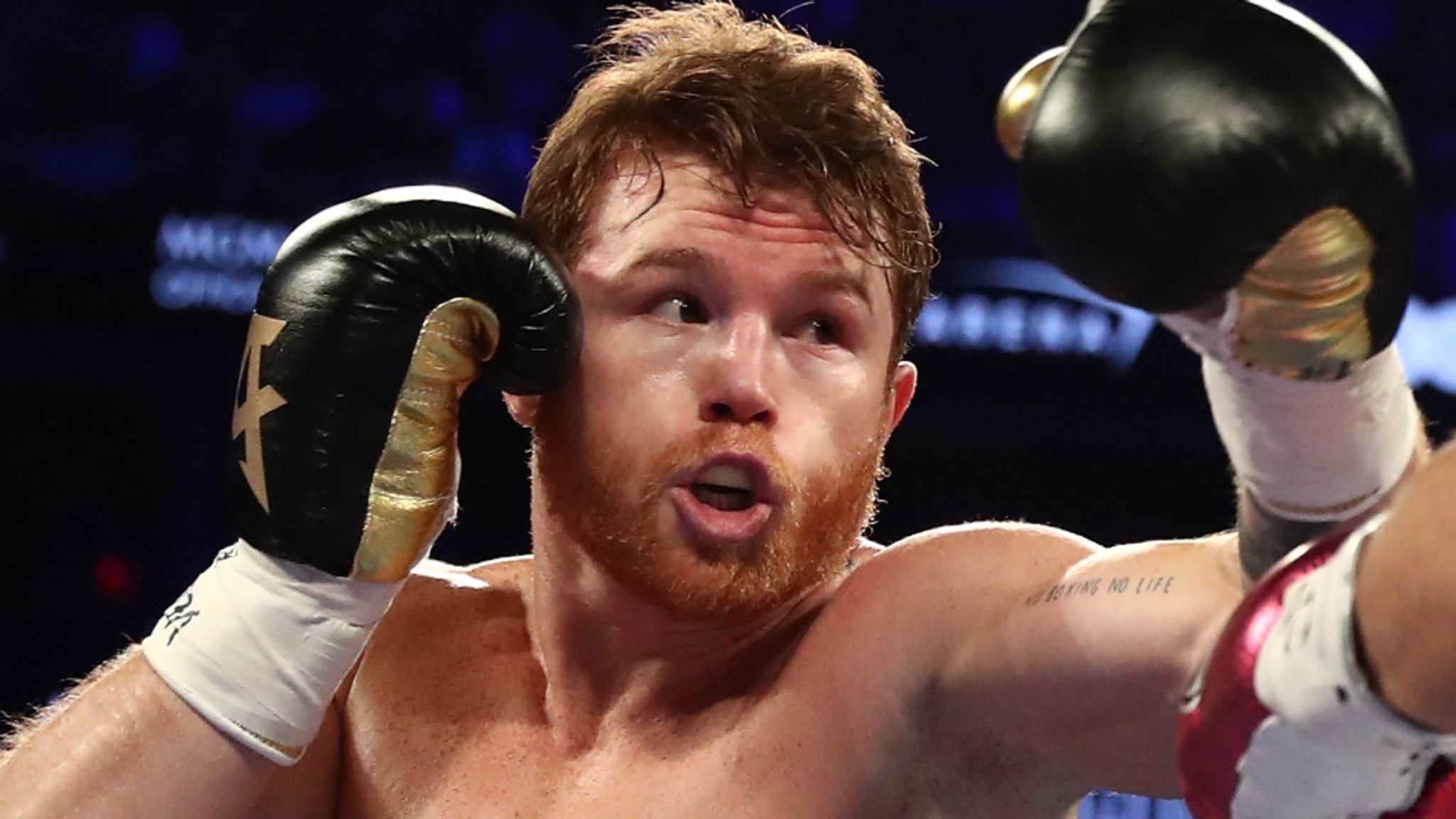 Saul Canelo Alvarez Avni Yildirim Reiterates Right To Mandatory canelo-alvarez-wallpapers-80-pictures-wallpaperset