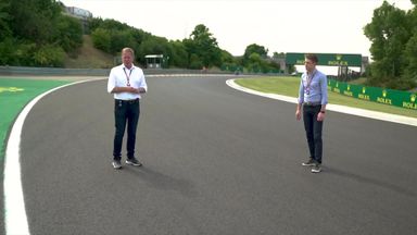 Brundle and di Resta on track