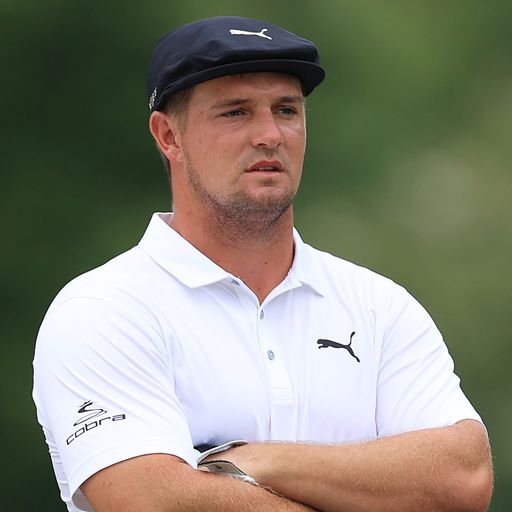 DeChambeau and the anthill