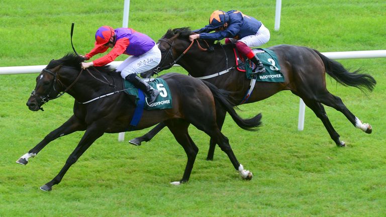 Romanised and Billy Lee (left) win the Paddy Power Minstrel Stakes 