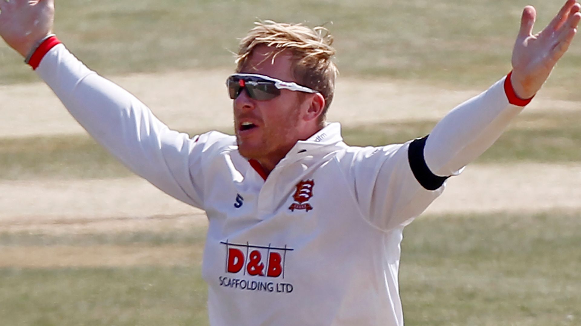 Harmer takes 14 as Essex beat Surrey