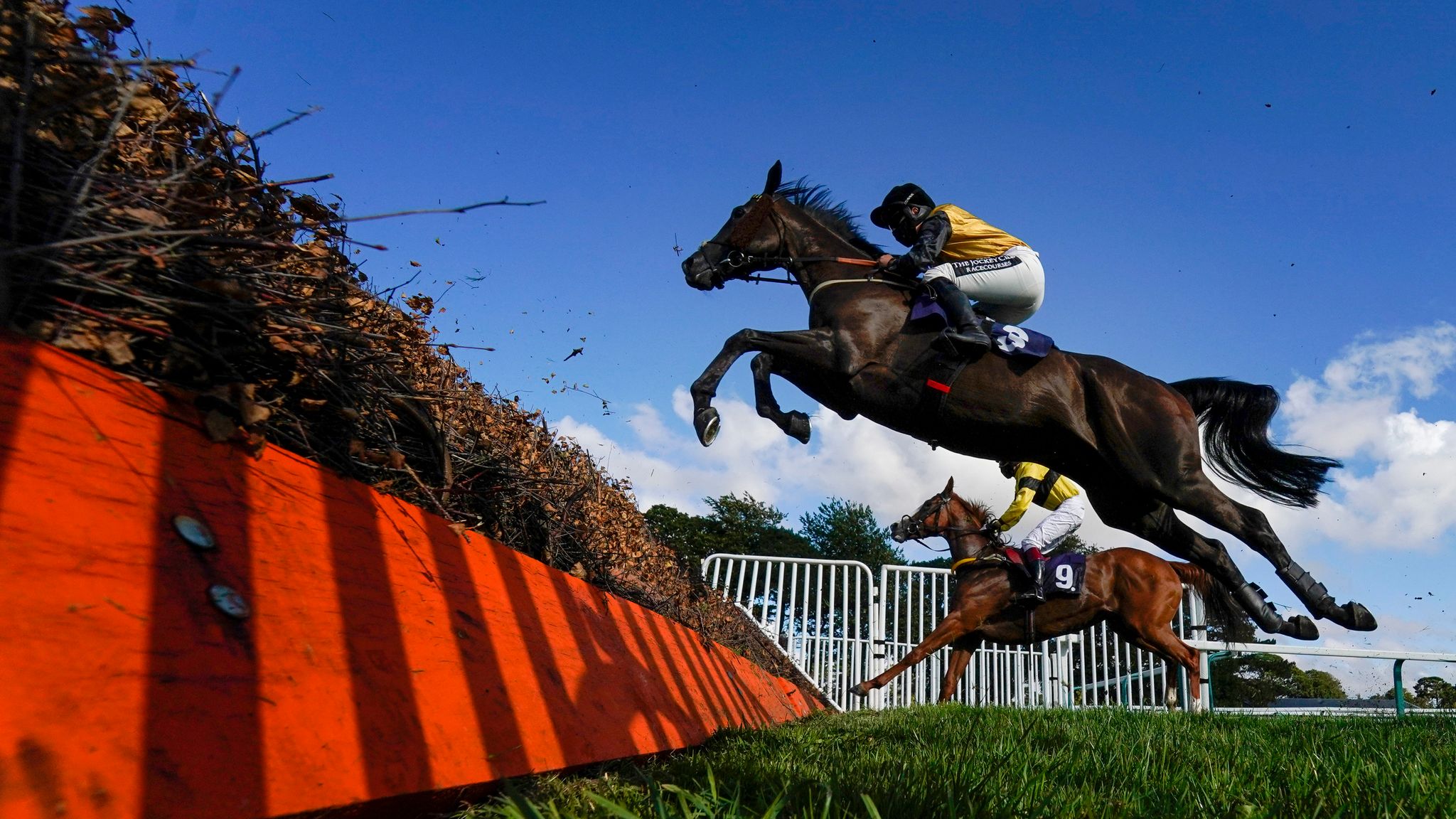 Big Drama At Fontwell As Six Disqualified Racing News Sky Sports