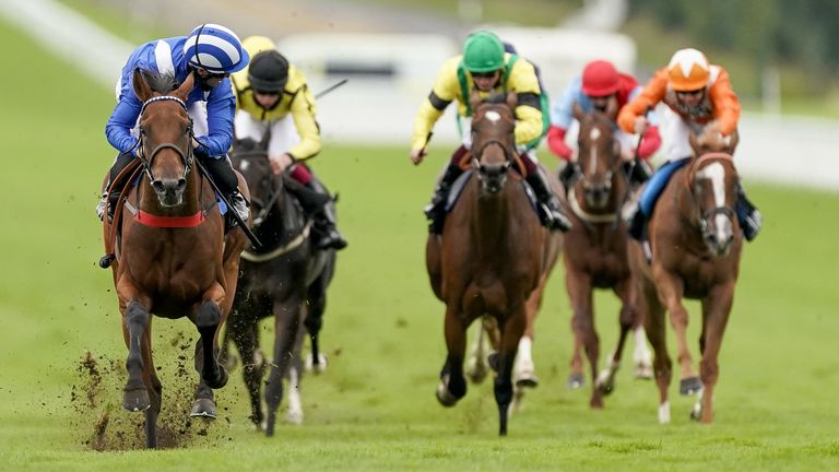 Goodwood Races - August 30th
Jim Crowley on board Modmin on their way to winning the The Ladbrokes Supporting 'Children With Cancer UK' Novice Stakes at Goodwood Racecourse, Chichester. Jim Crowley celebrates his two thousandth UK victory in National Hunt and Flat racing