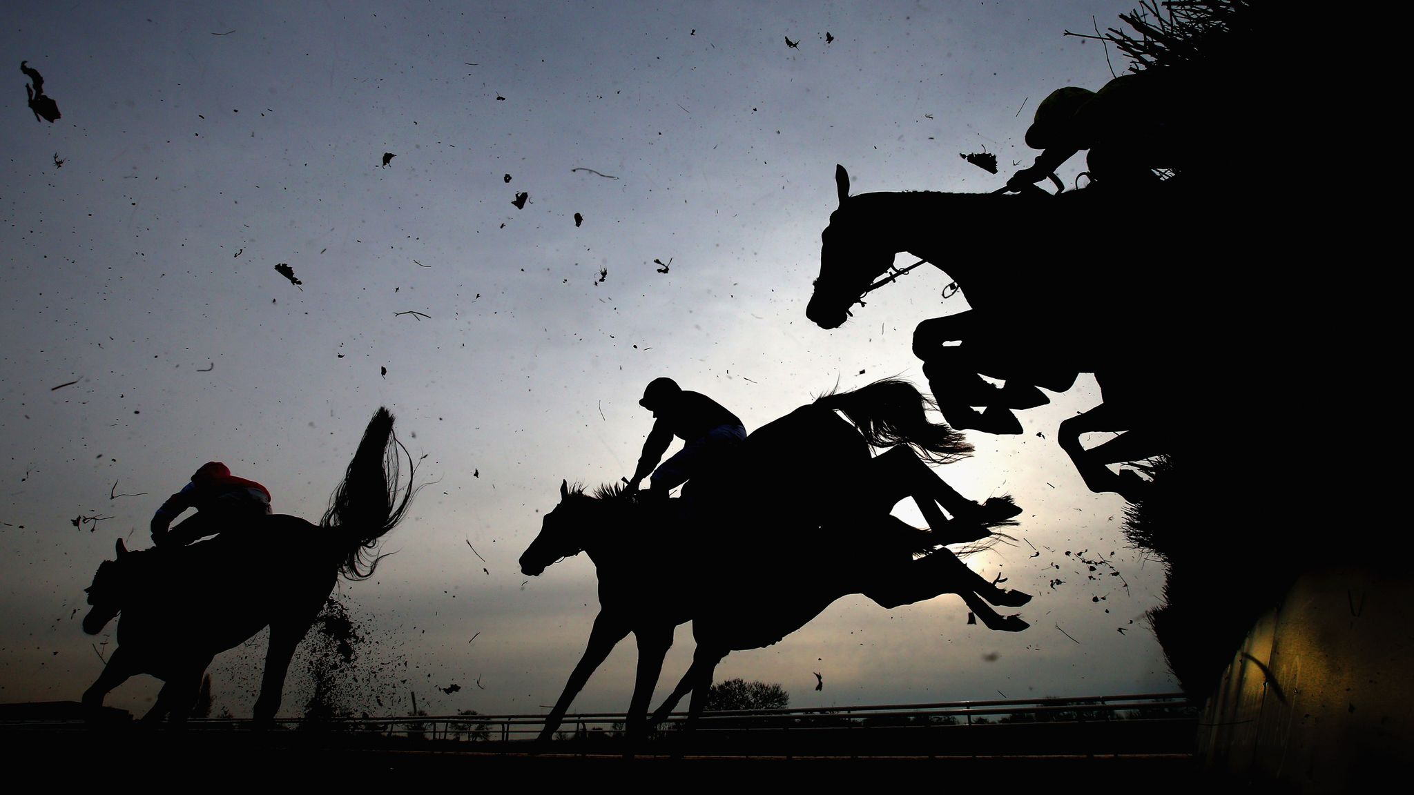 Southwell: Jump racing suspended at track after multiple horse deaths ...