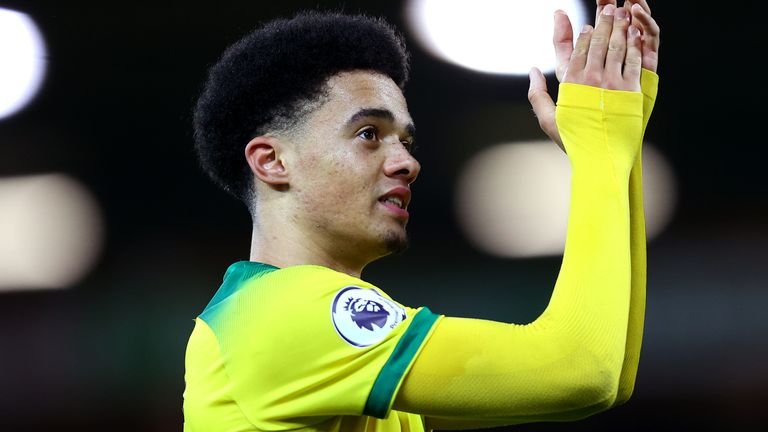 Jamal Lewis joins Newcastle from Norwich
