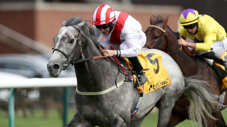 Top Rank ridden by P J McDonald coming home to win the Betfair Superior Mile Stakes during Betfair Sprint Cup Day 2020 at Haydock Racecourse, Newton-le-Willows.