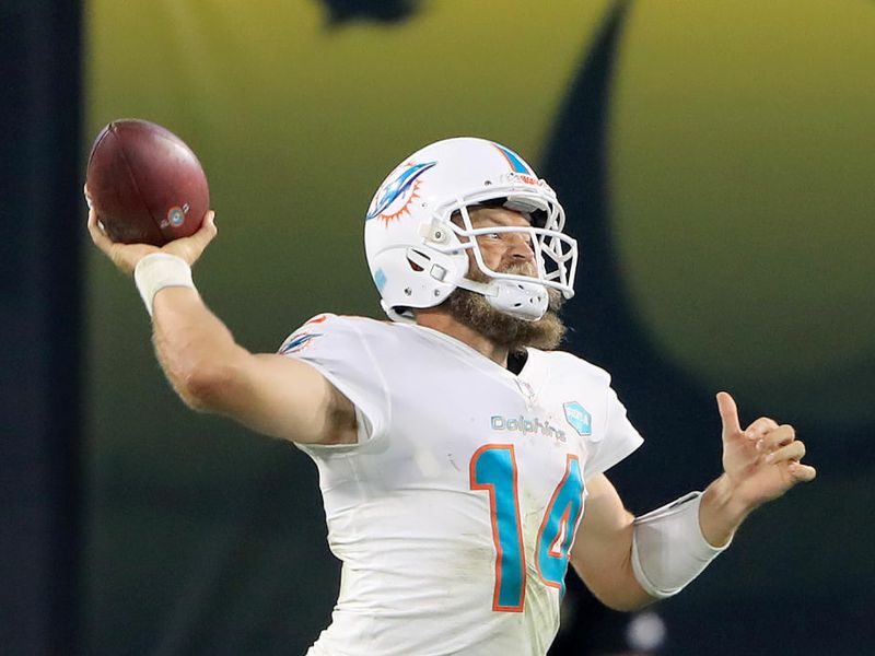 Miami Dolphins' Ryan Fitzpatrick is real lesson of sports