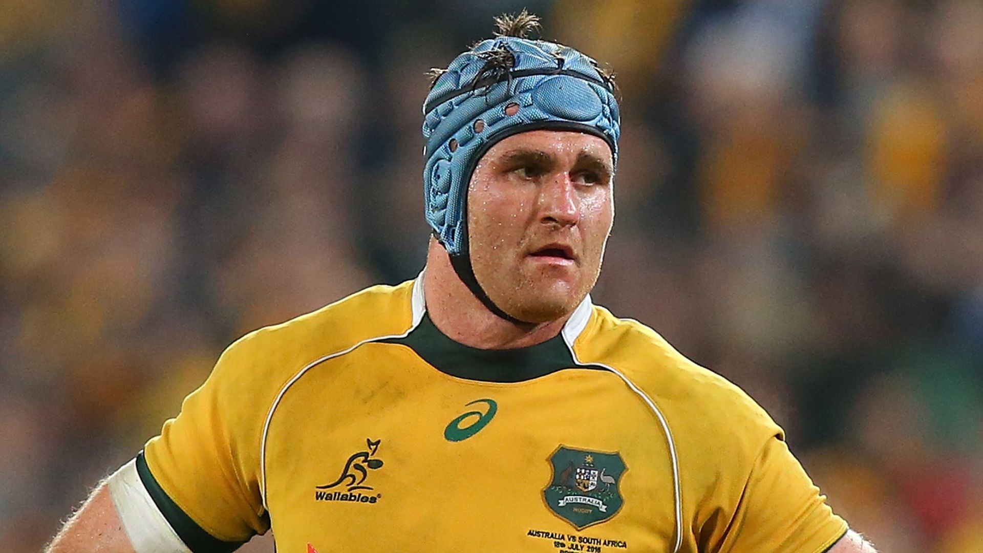 LISTEN: Fitzpatrick and Horwill preview Bledisloe Cup