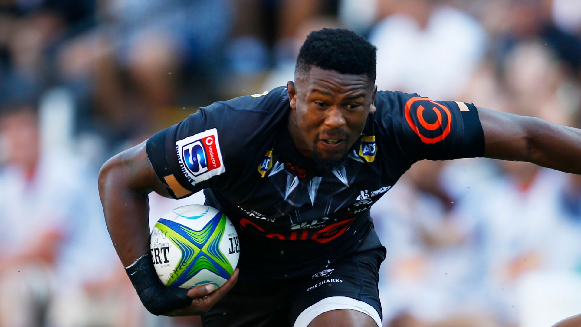 FREE LIVE STREAM: Sharks vs Lions