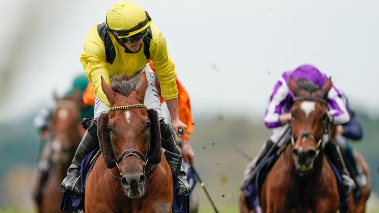 ATom Marquand riding Addeybb (yellow) win The Qipco Champion Stakes 