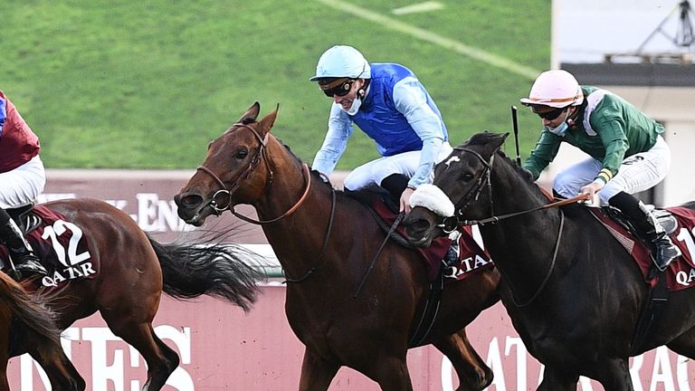 Persian King in action in the Arc