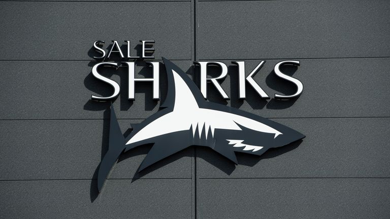Sale sharks