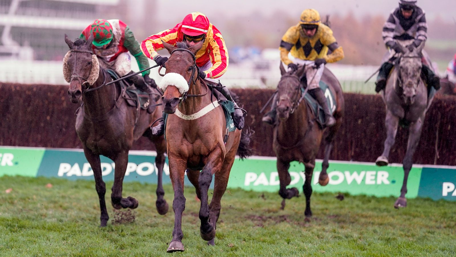 Coole Cody primed for Paddy Power defence at Cheltwnham November meeting