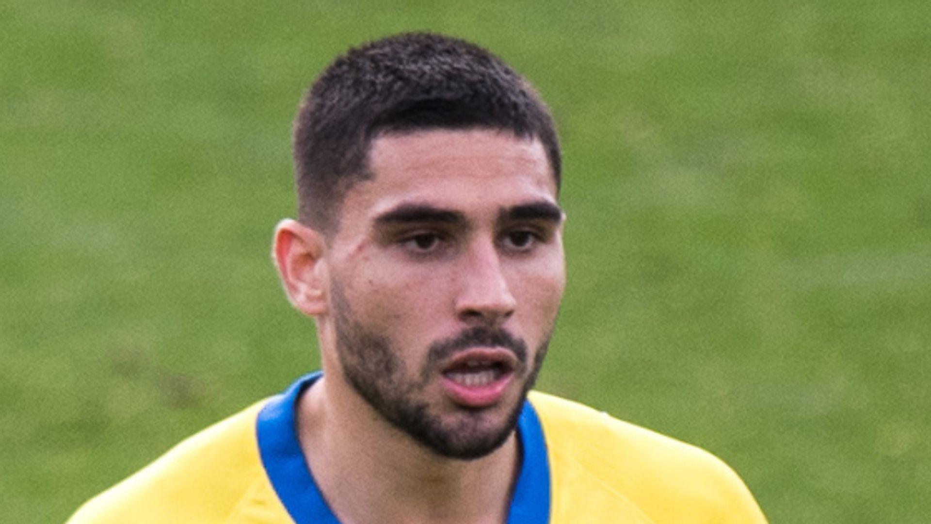 Potter: Maupay 'incident' resolved