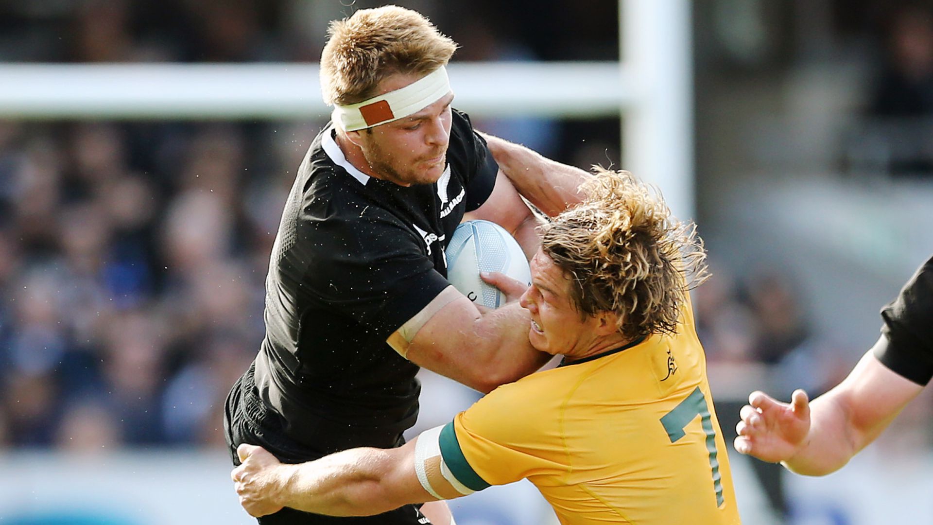 Tri-Nations: Australia vs New Zealand talking points