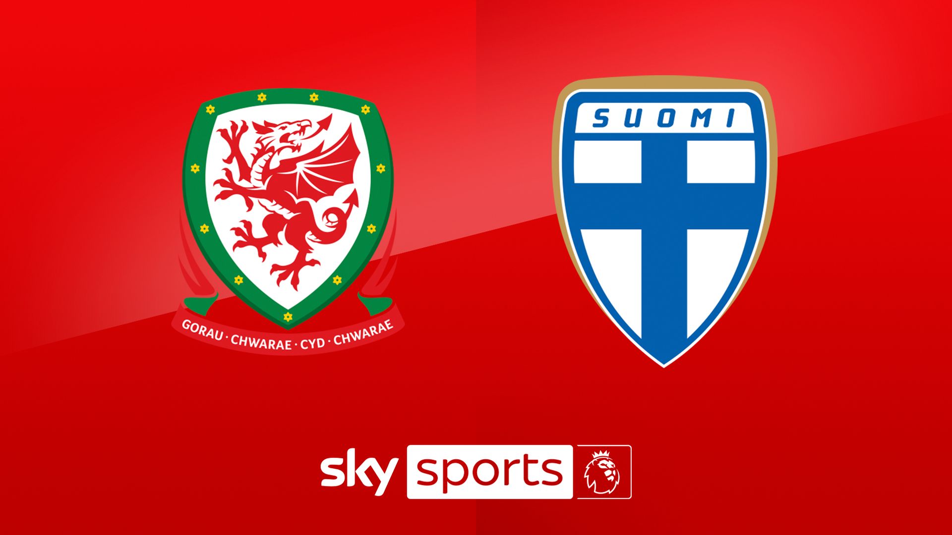 Live on Sky: Wales vs Finland