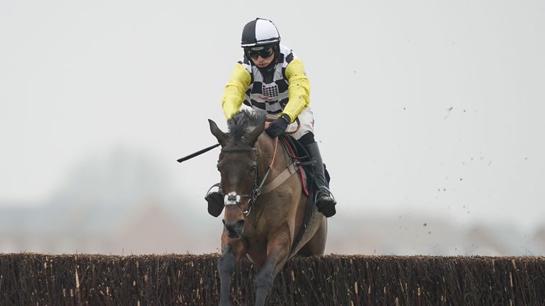 Next Destination ridden by Harry Cobden clears the last to win The Ladbrokes John Francome Novices' Chase at Newbury
