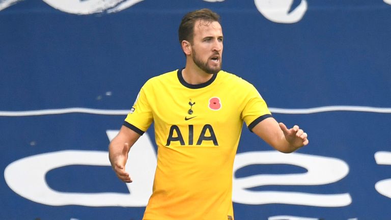 Harry Kane celebrates his opener late in the second half