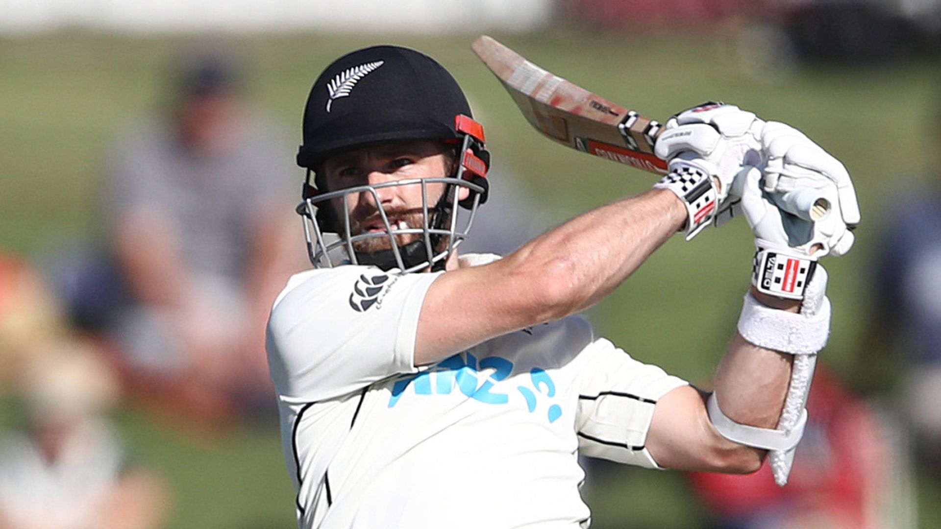 NZ skipper leads fightback against Pakistan