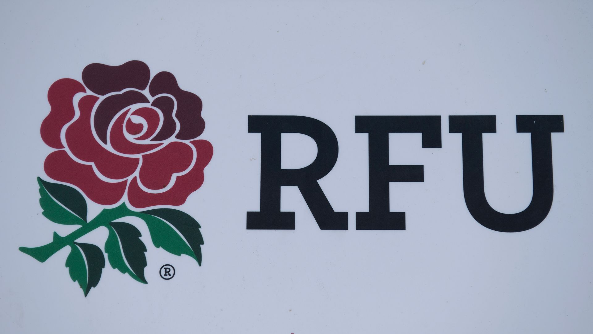 RFU report reveals scale of concussions in 2018-19 season