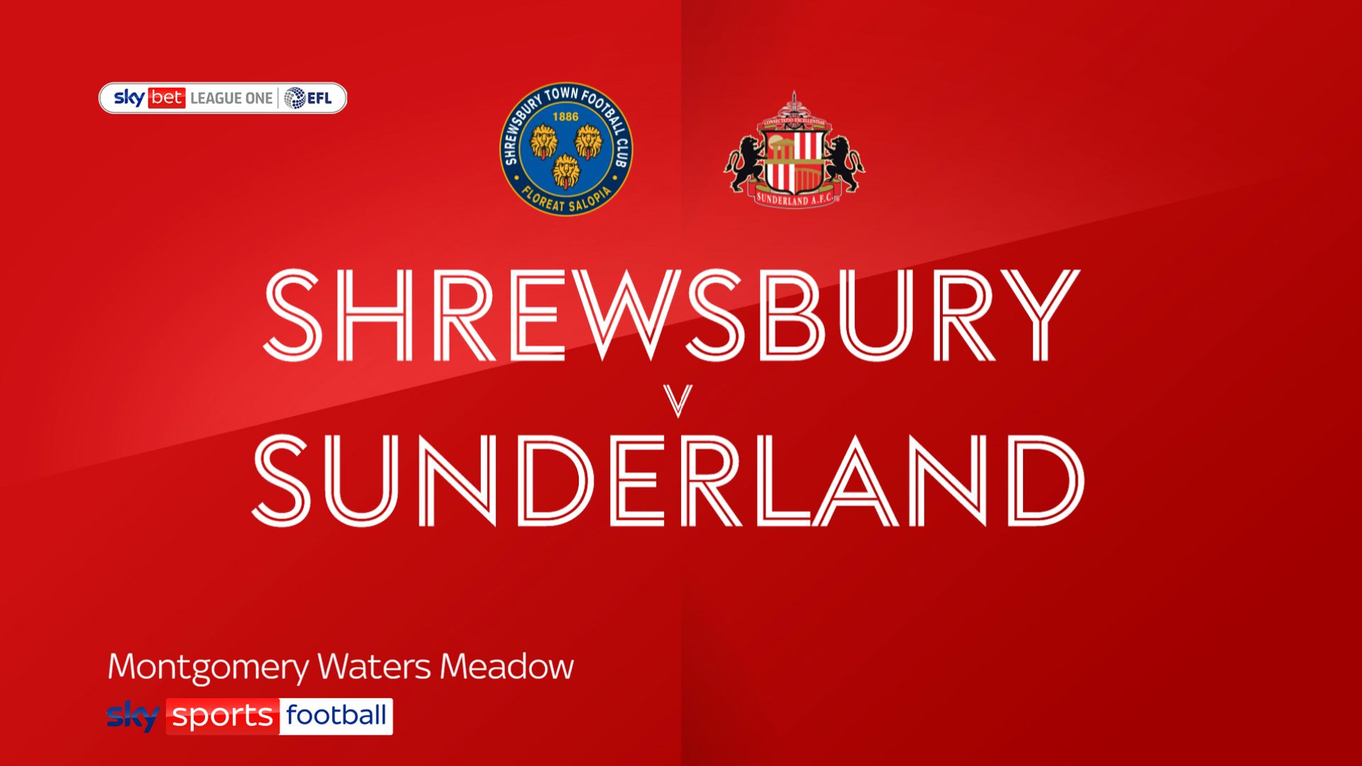 Chapman stars as Shrewsbury beat Sunderland