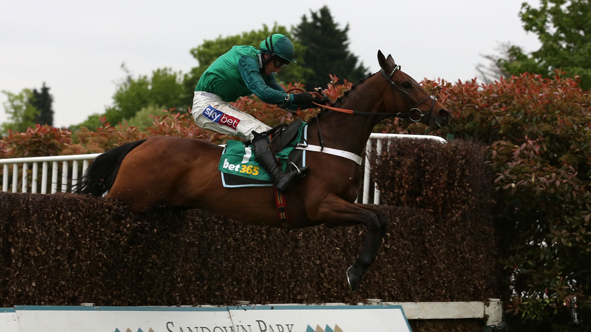 Nicky Henderson set to run two in Peterborough Chase