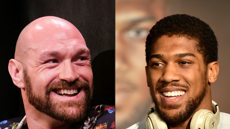 Fury and Joshua pic