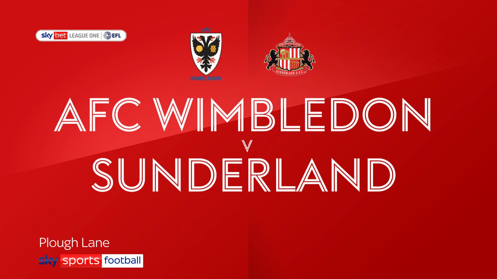 Afc Wimbledon 1-1 Sunderland: Alex Neil's Reign As Black Cats Boss 