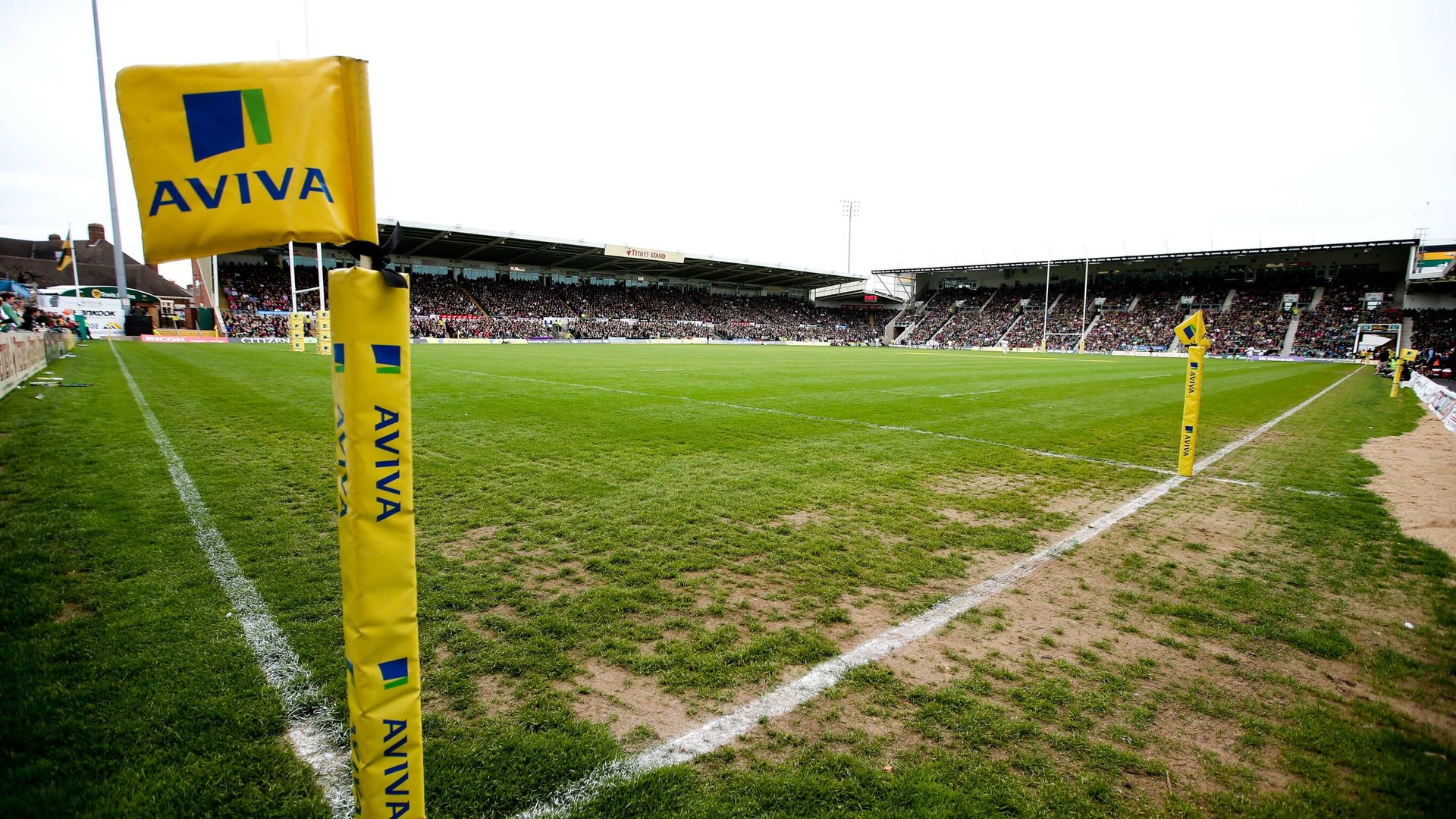 Progressive Rugby calls for reform to protect players