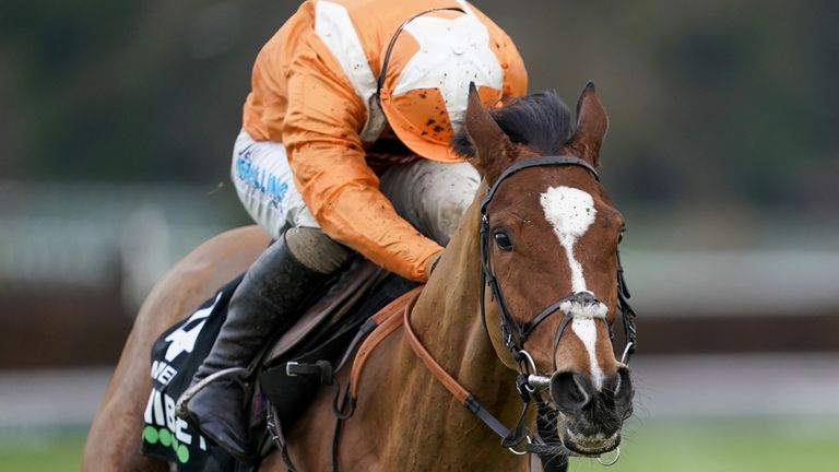 Metier ridden by Sean Bowen clear the last to win The Unibet Tolworth Novices' Hurdleat Sandown Park Racecourse, Esher.