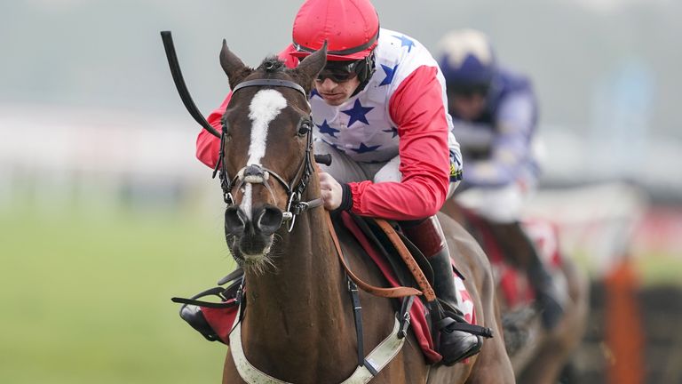 Sage Advice ridden by Sam Twiston-Davies clear the last to win The Watch Racing Free Online At Ladbrokes Juvenile Hurdle at Kempton Park Racecourse.