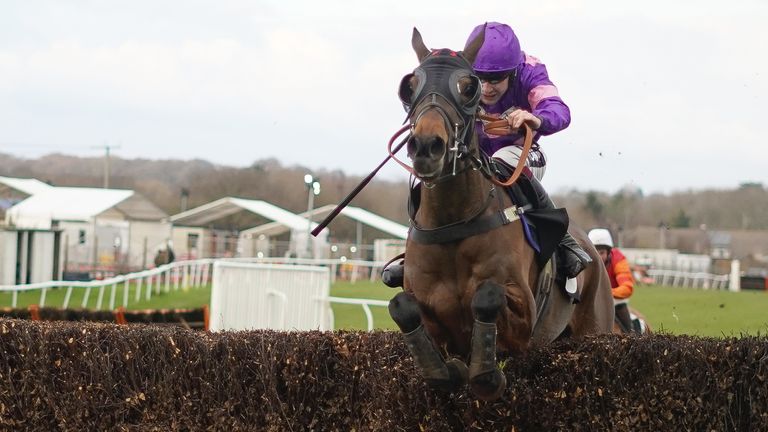 Seaston Spirit ridden by Aidan Coleman clear the last to win The Sky Sports Racing Sussex National Handicap Chase at Plumpton Racecourse.