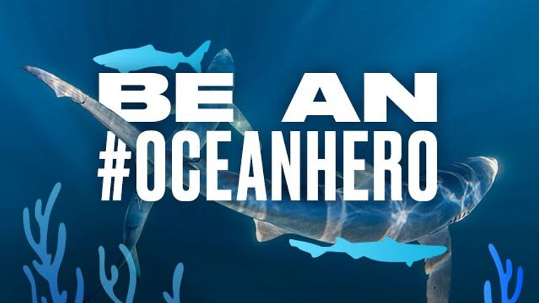 Be an Ocean Hero