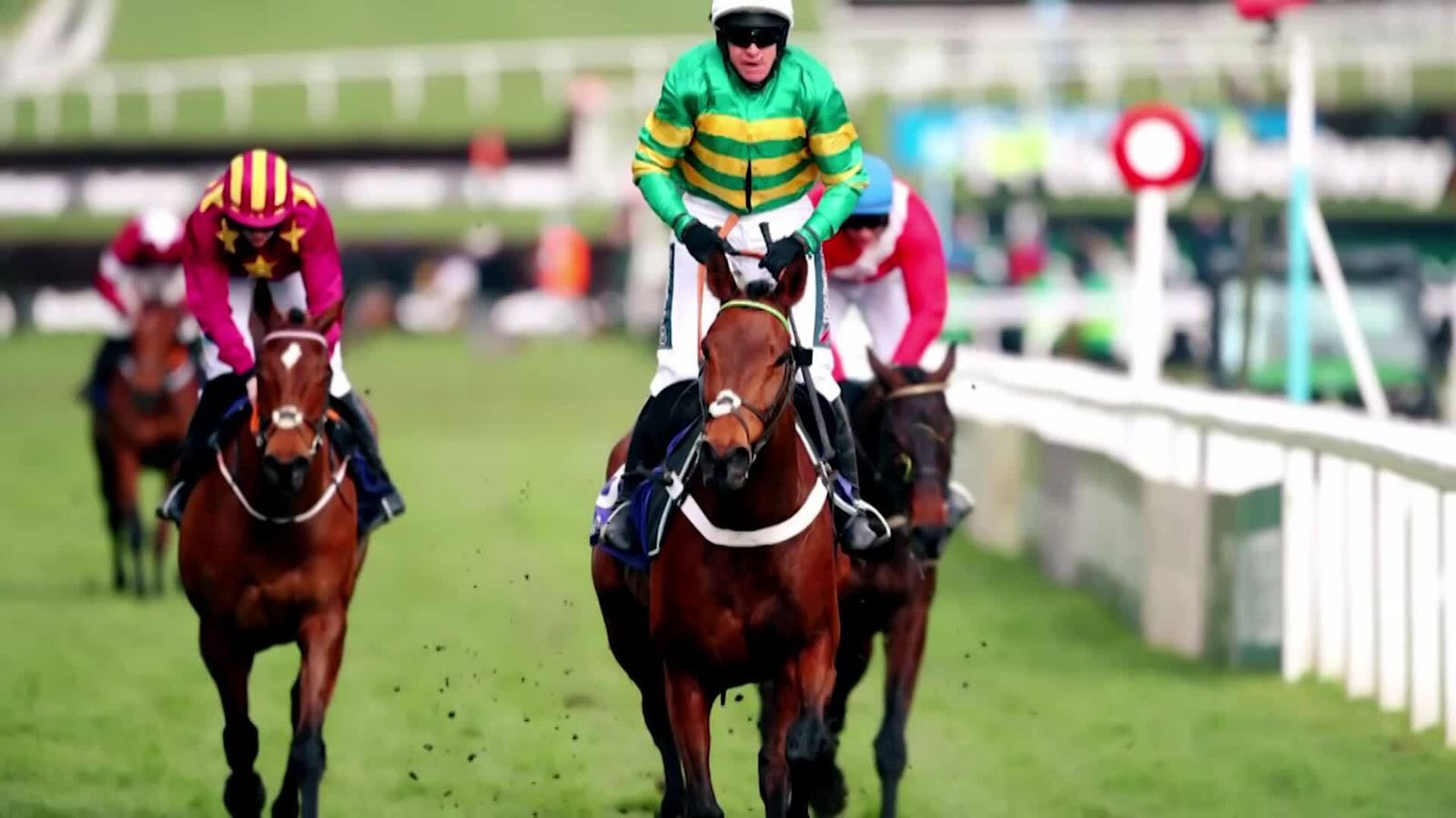 Gold Cup: Who Ya Got? | Racing News | Sky Sports